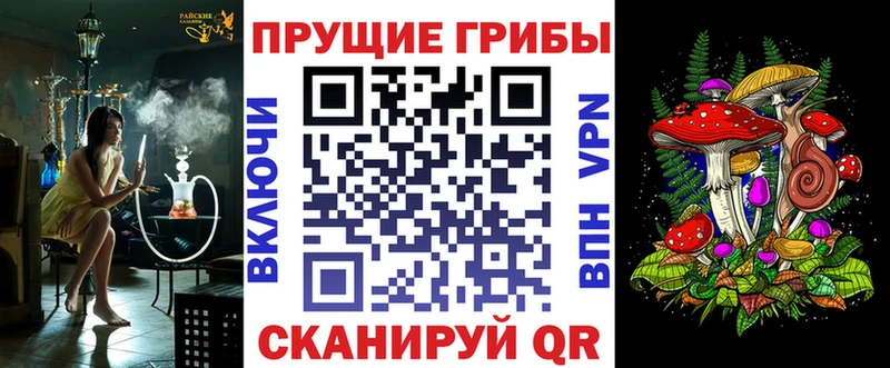 ссылка на мегу маркетплейс  Городец  Галлюциногенные грибы мицелий  цена  